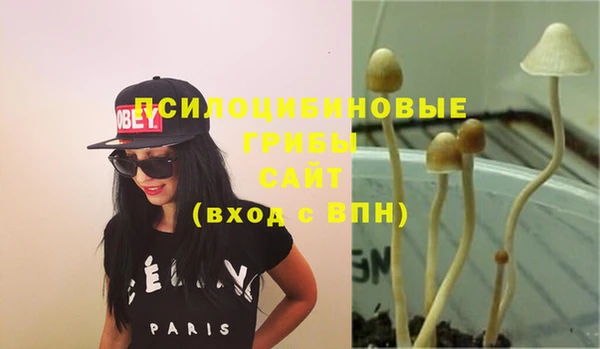 бутират Богданович
