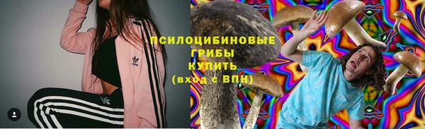 дурь Богородск